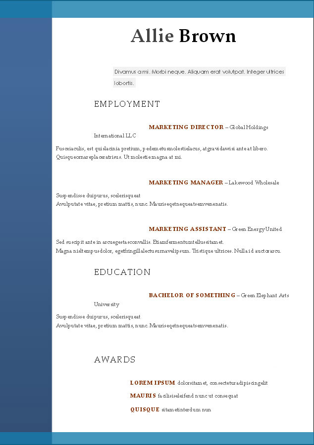 Cv Template Doc Download Free 2023