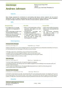 2023 sales manager resume