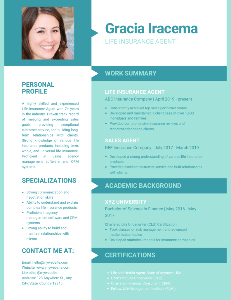 life insurance agent resume template